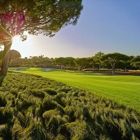 Porque Voce Merece Apartamento *